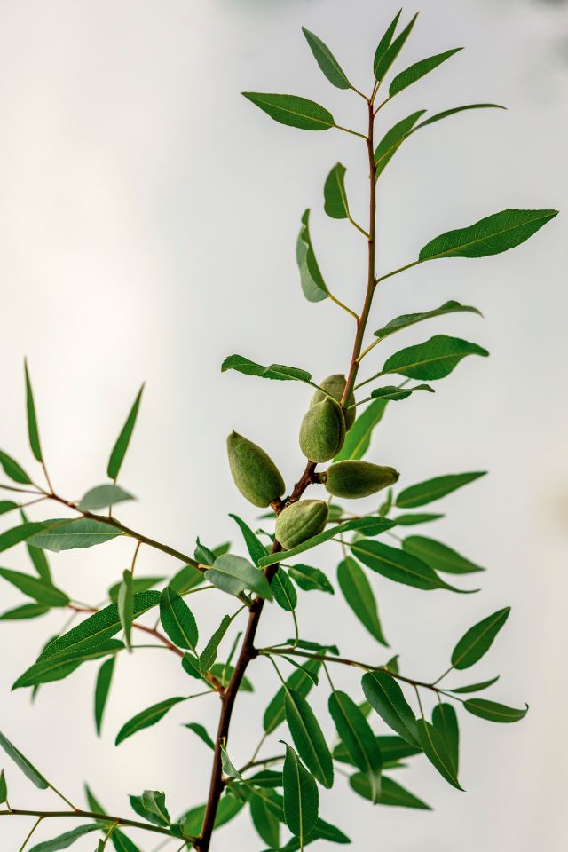 homepageimage10